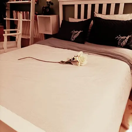 아파트 Confortable *